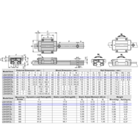 LSH20BK-F2N-N-D-M6 AIRTAC PROFILE RAIL BEARING LSH 20MM SERIES, NORMAL ACCURACY WITH NO PRELOAD (D) STANDARD, BOTTOM MOUNTING FLANGE - NORMAL BODY